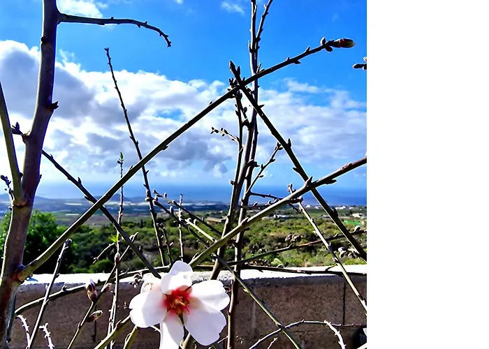 Dake Casetta Tenerife Village *